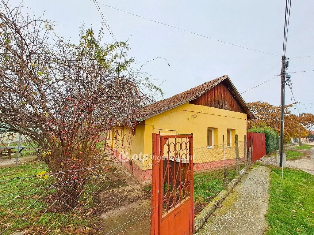 c3-1-name c2-1-name, Szolnok