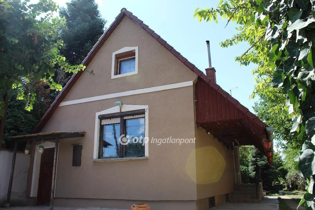 c3-1-name c2-1-name, Szolnok