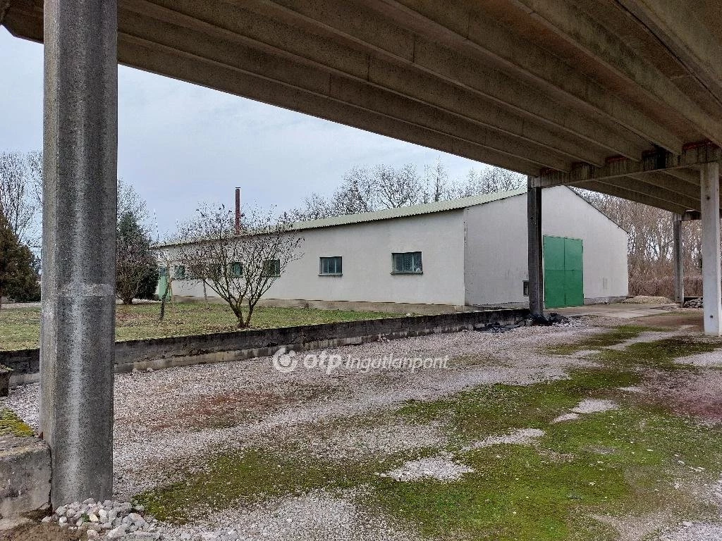 Eladó Üzem, Mohács