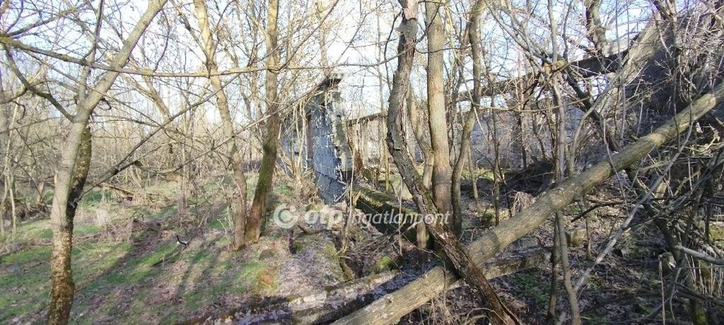 Eladó Mezőgazdasági, Jászberény