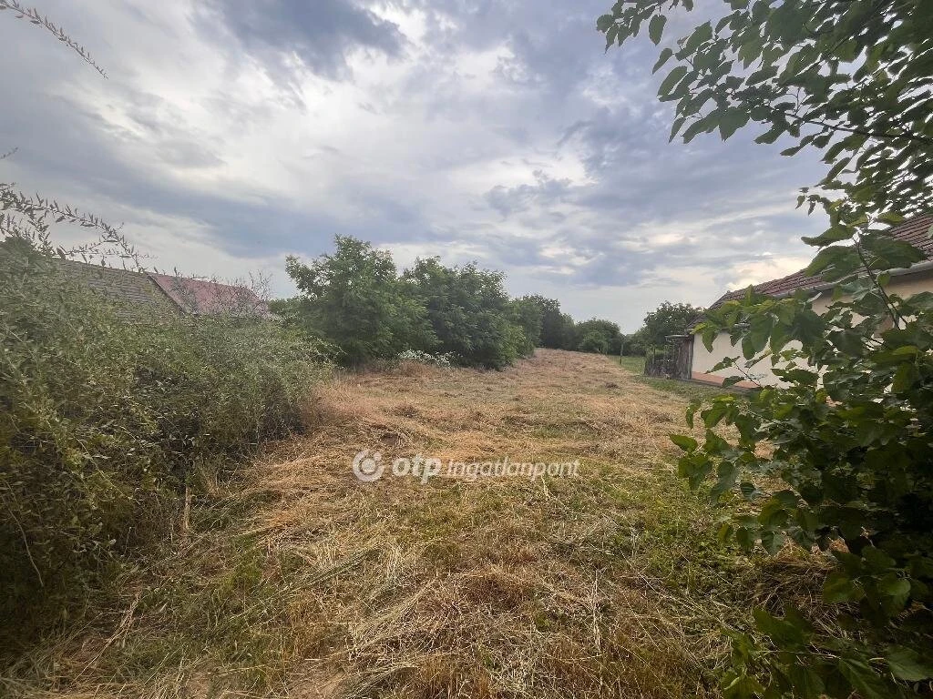 Eladó Telek, Tiszagyenda