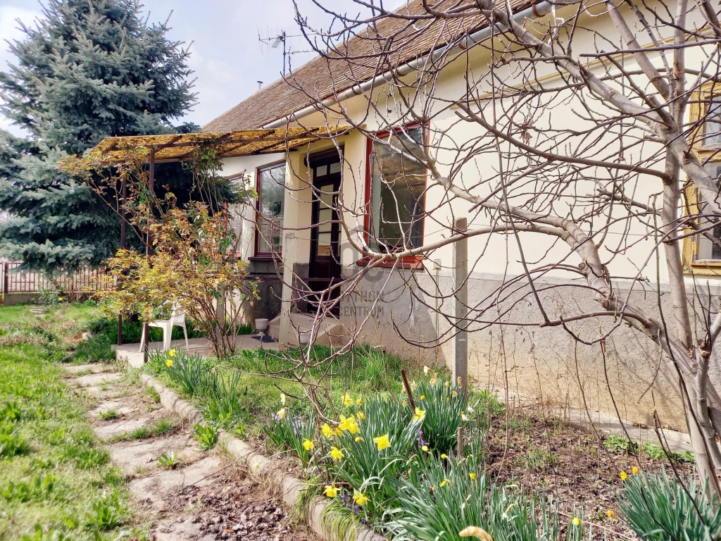 For sale house, Gara, Gara