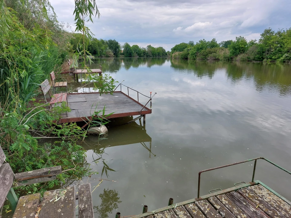 Eladó külterületi telek, Békésszentandrás