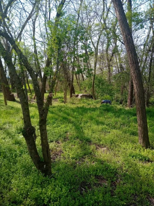 Eladó külterületi telek, Békésszentandrás