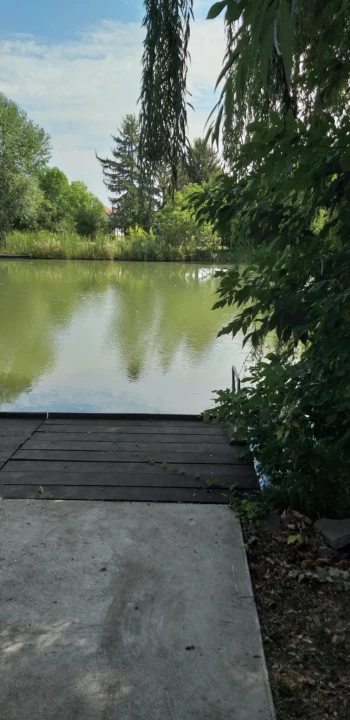 For sale holiday house, summer cottage, Gyomaendrőd