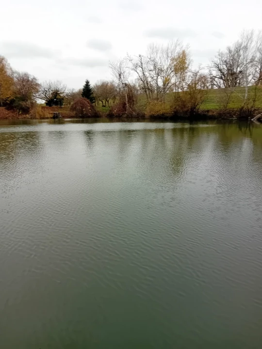 For sale weekend house, Gyomaendrőd