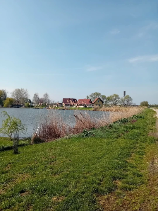 c3-1-name c2-84-name, Szarvas