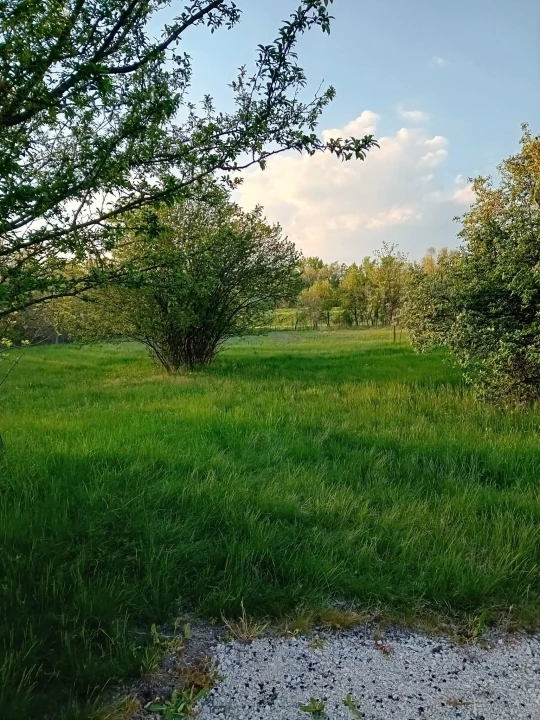 Eladó üdülőtelek, Gyomaendrőd