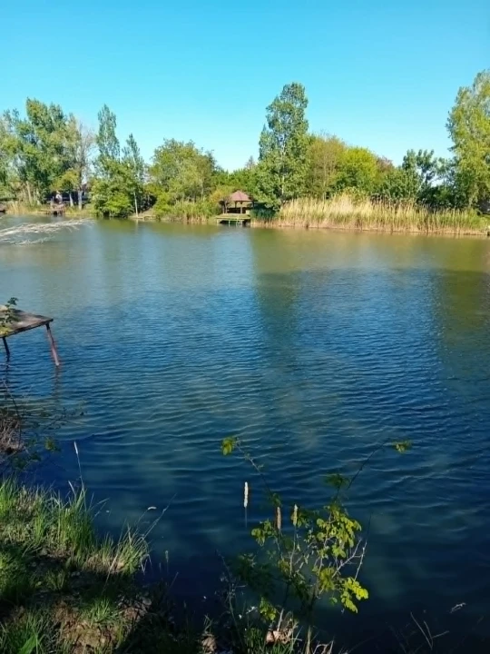 Eladó külterületi telek, Mezőtúr