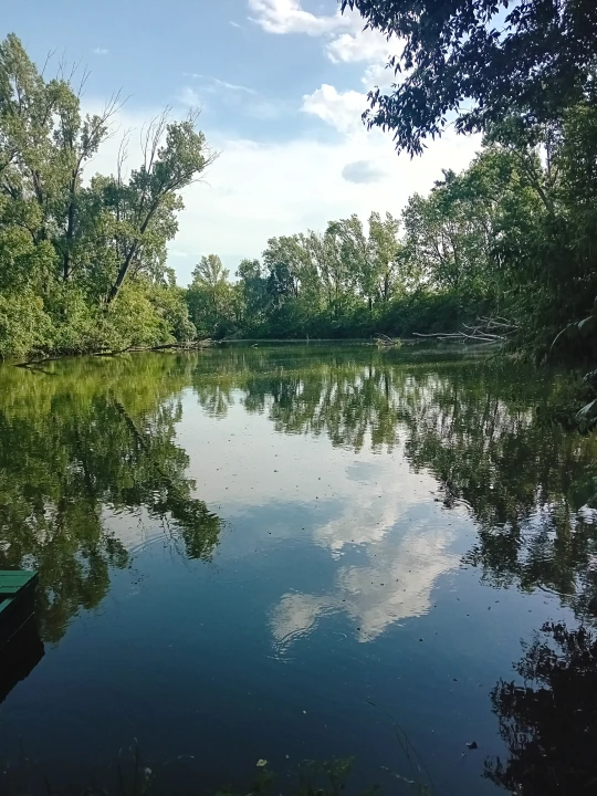 Eladó hétvégi ház, Mezőtúr