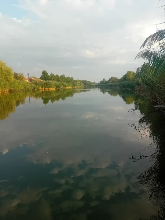 Eladó hétvégi ház, Gyomaendrőd