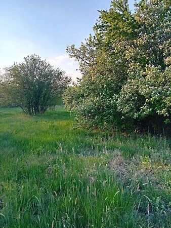 Eladó üdülőtelek, Gyomaendrőd