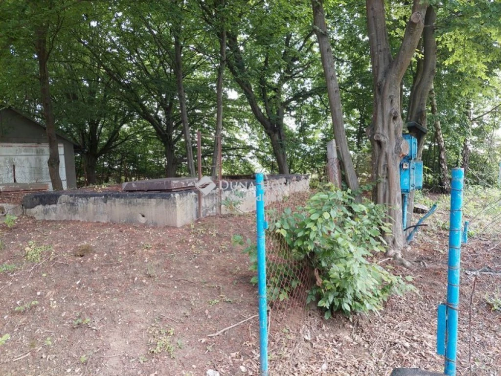 For sale depository, Lenti