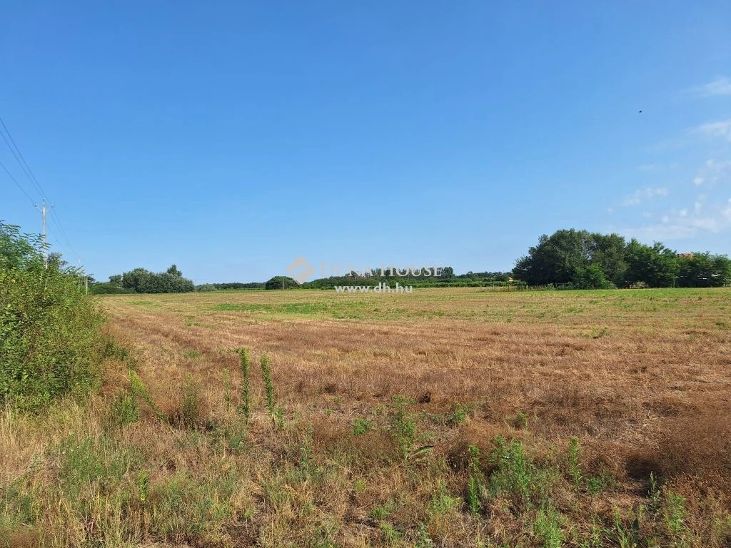 For sale plough-land, pasture, Kecskemét