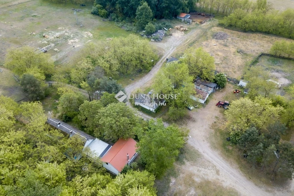 For sale forest, Fülöpháza, Kossuth utca