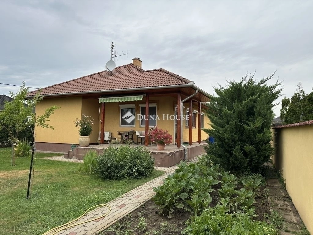 c3-1-name c2-1-name, Kecskemét