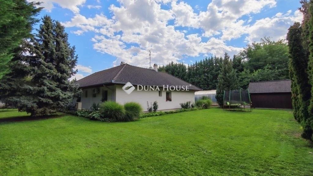 c3-1-name c2-1-name, Kecskemét