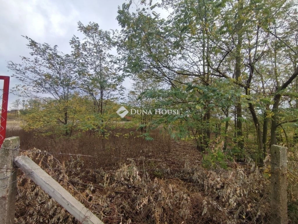 For sale periphery plot, Kecskemét