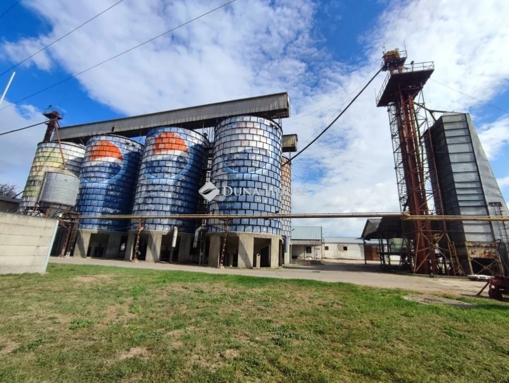 c3-1-name c2-66-name, Kecskemét