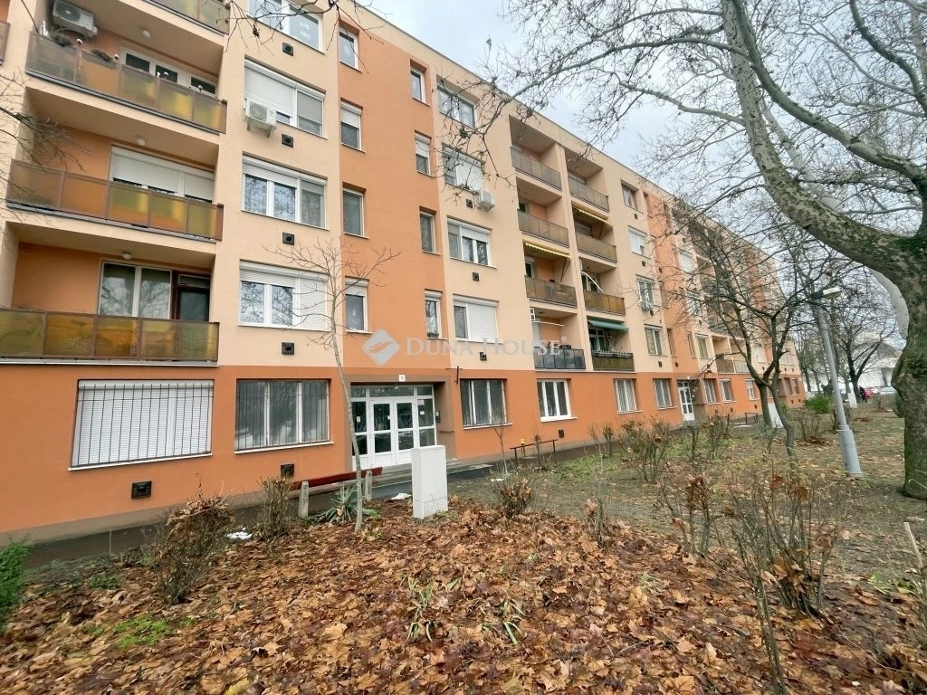 c3-2-name c2-19-name, Kecskemét, Világ utca