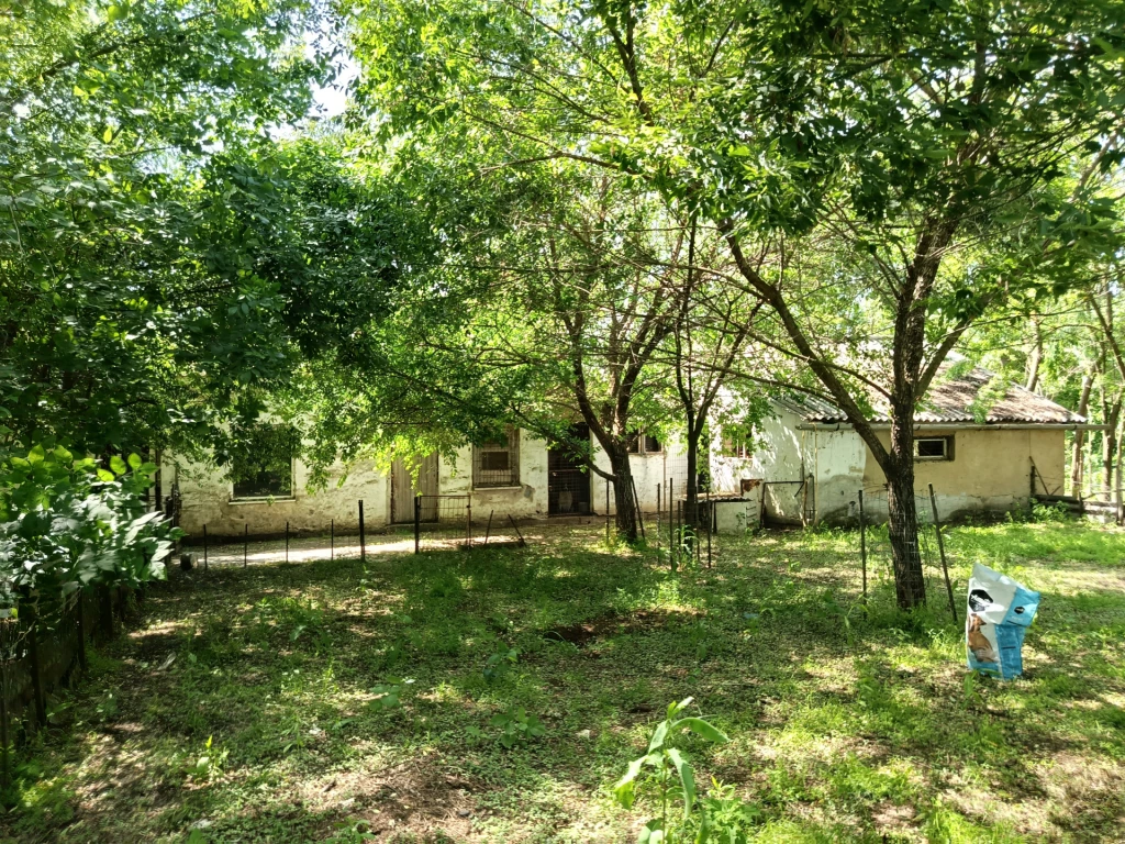 Eladó tanya, Nyíregyháza, Oros