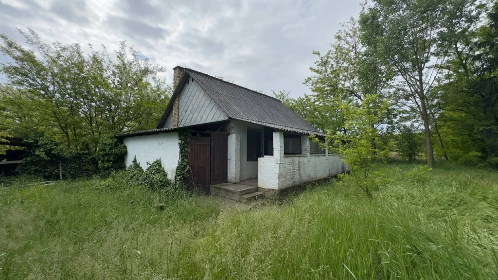 Eladó Púposhalom tanya Nagycserkeszen – Kiváló lehetőség gazdálkodóknak!