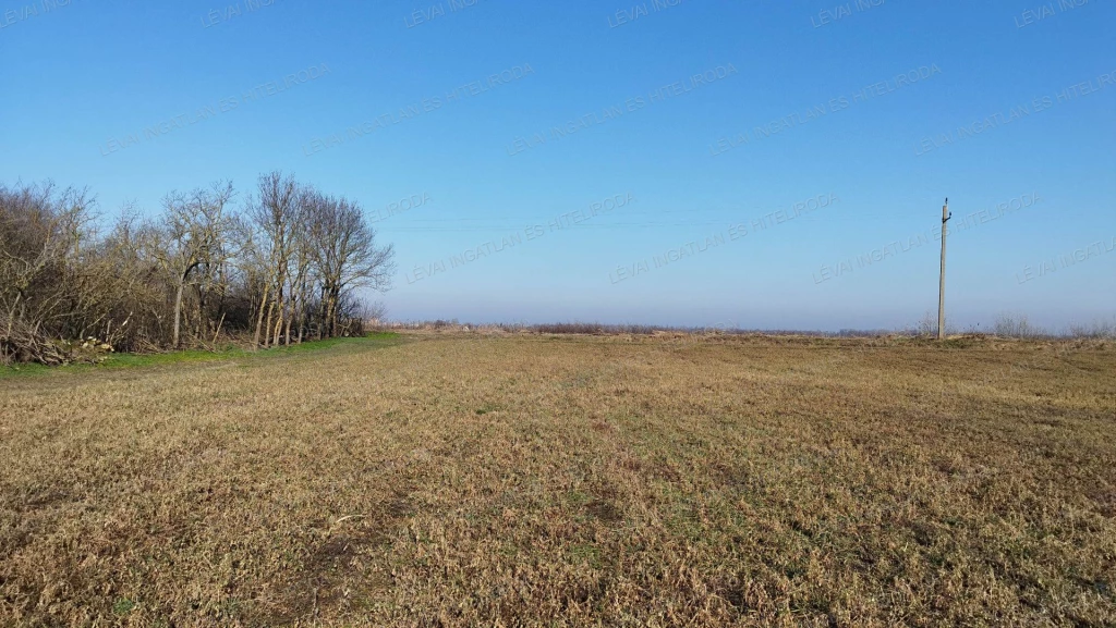 For sale plough-land, pasture, Békéscsaba, Makkoshát