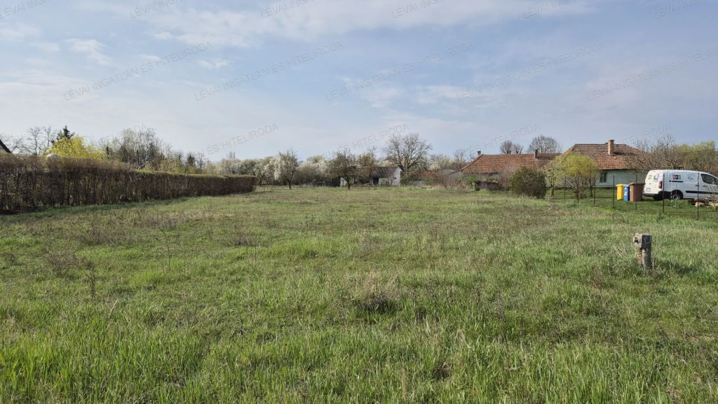 c3-1-name c2-50-name, Békéscsaba, Fényes