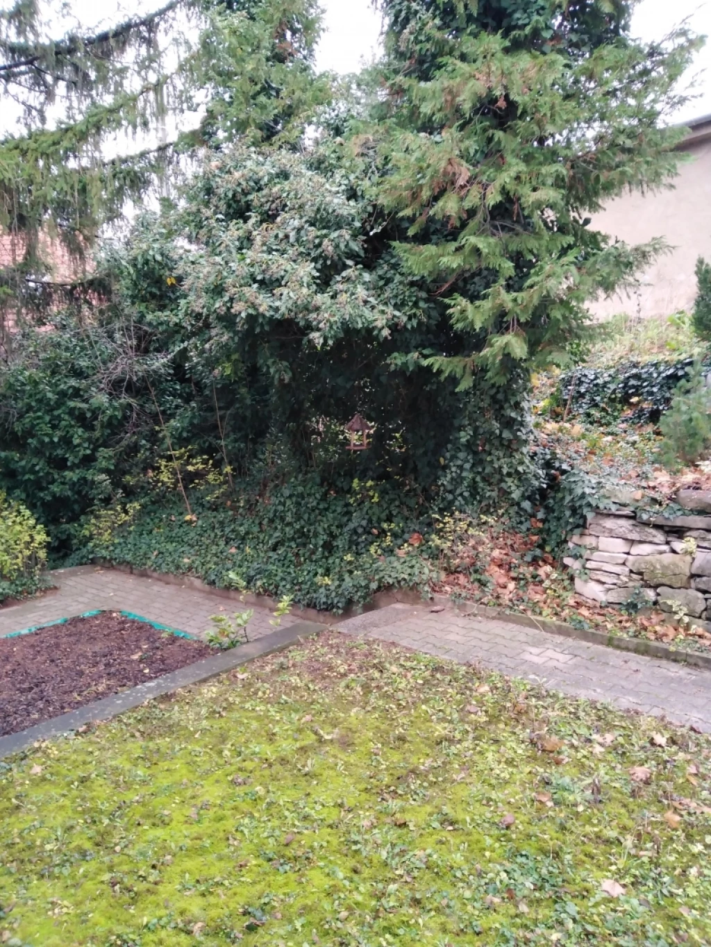 c3-2-name c2-19-name, Pécs, Mecsekoldal/Belváros