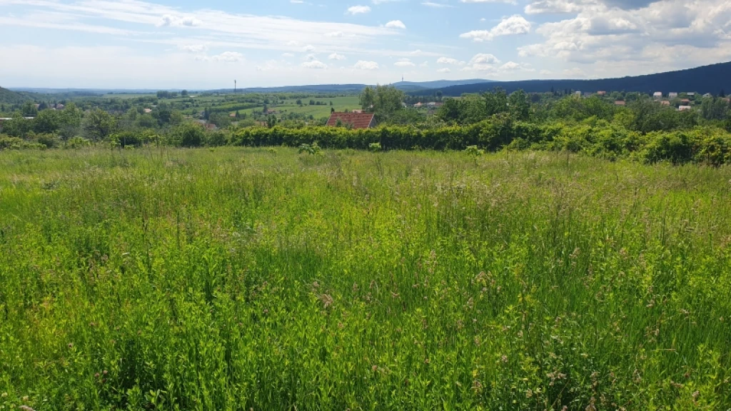 Eladó panellakás, Hosszúhetény