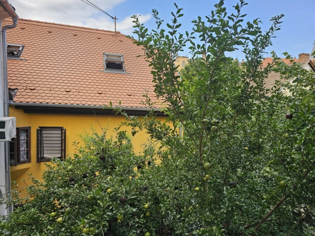 c3-2-name c2-19-name, Pécs, Belváros