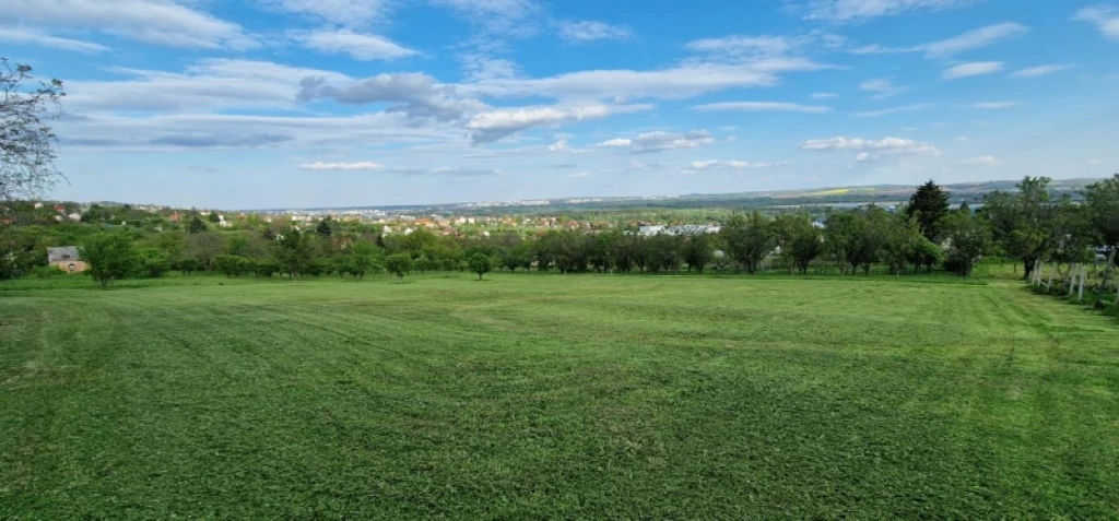 Eladó üzlet, Pécs, Patacs