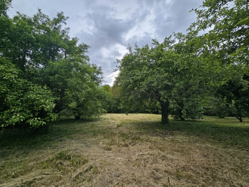 Eladó téglalakás, Pogány