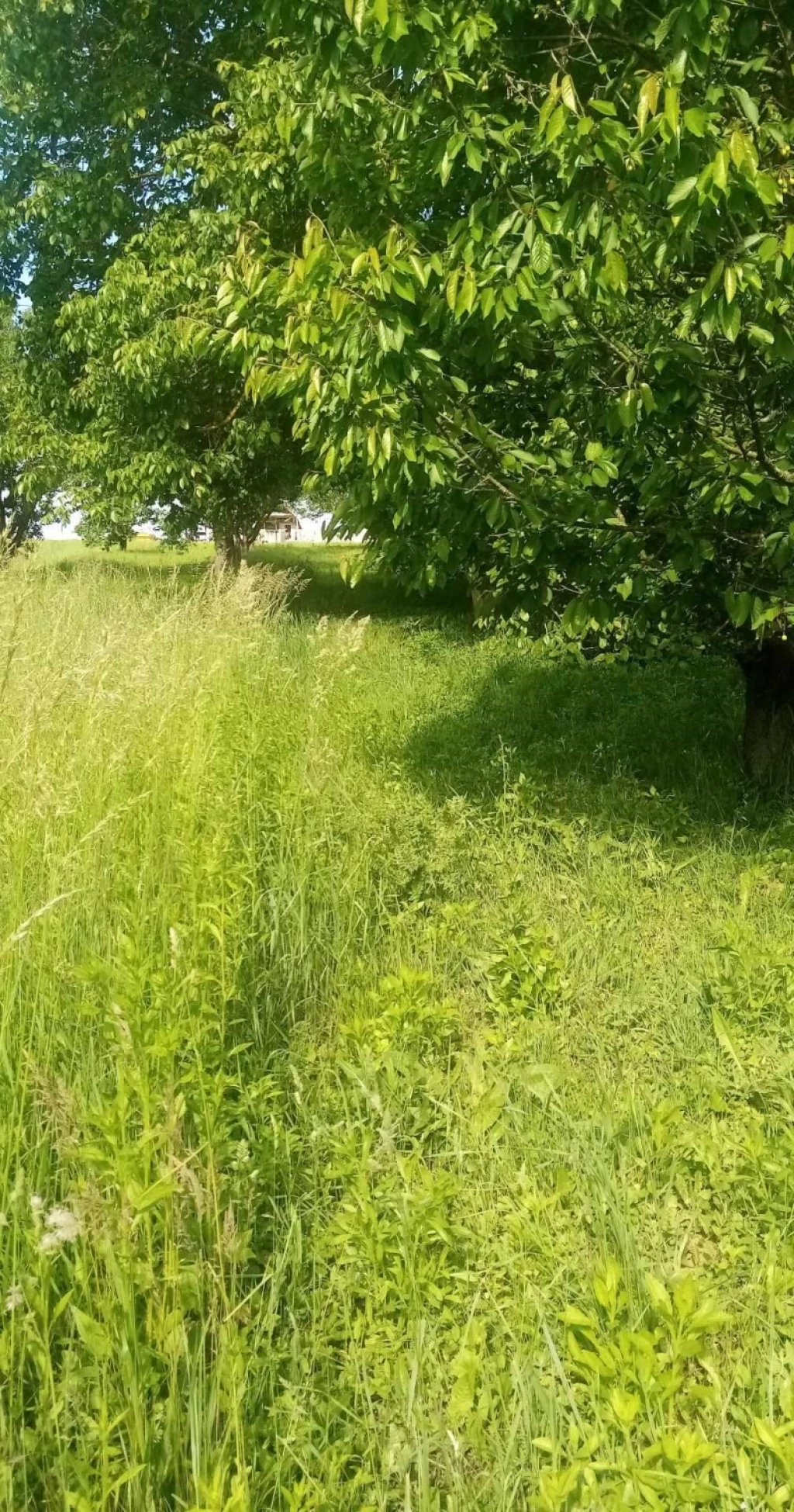Eladó téglalakás, Kozármisleny