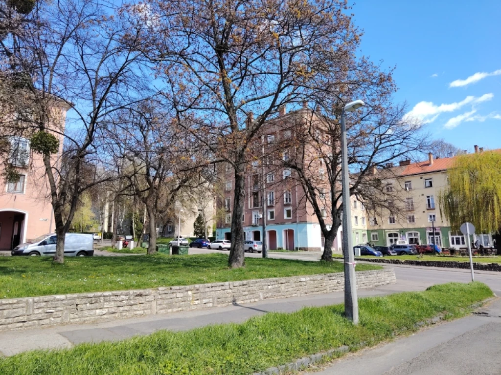 c3-1-name c2-19-name, Komló