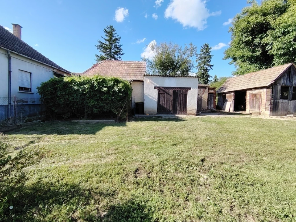 c3-1-name c2-1-name, Boldogasszonyfa