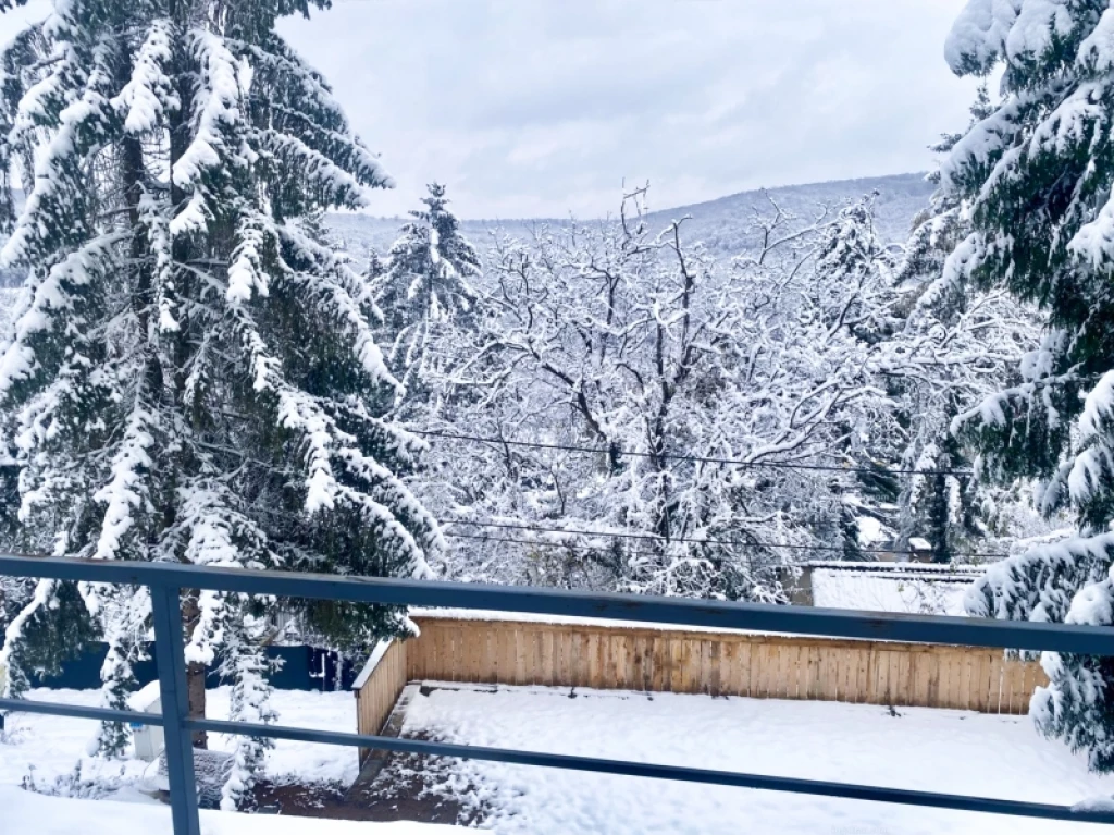 c3-1-name c2-1-name, Orfű