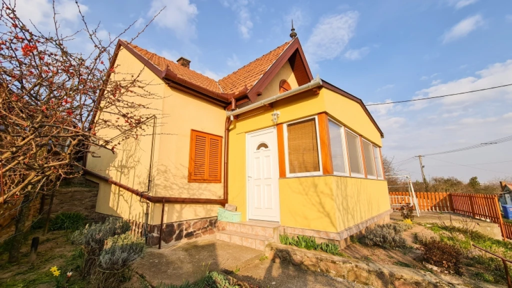 c3-1-name c2-19-name, Pécs, Patacs