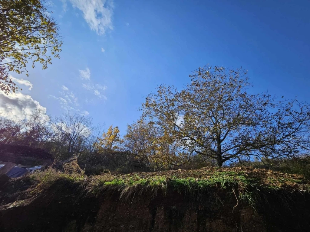 Eladó ikerház, Pécs, Mecsekoldal/Szkókó