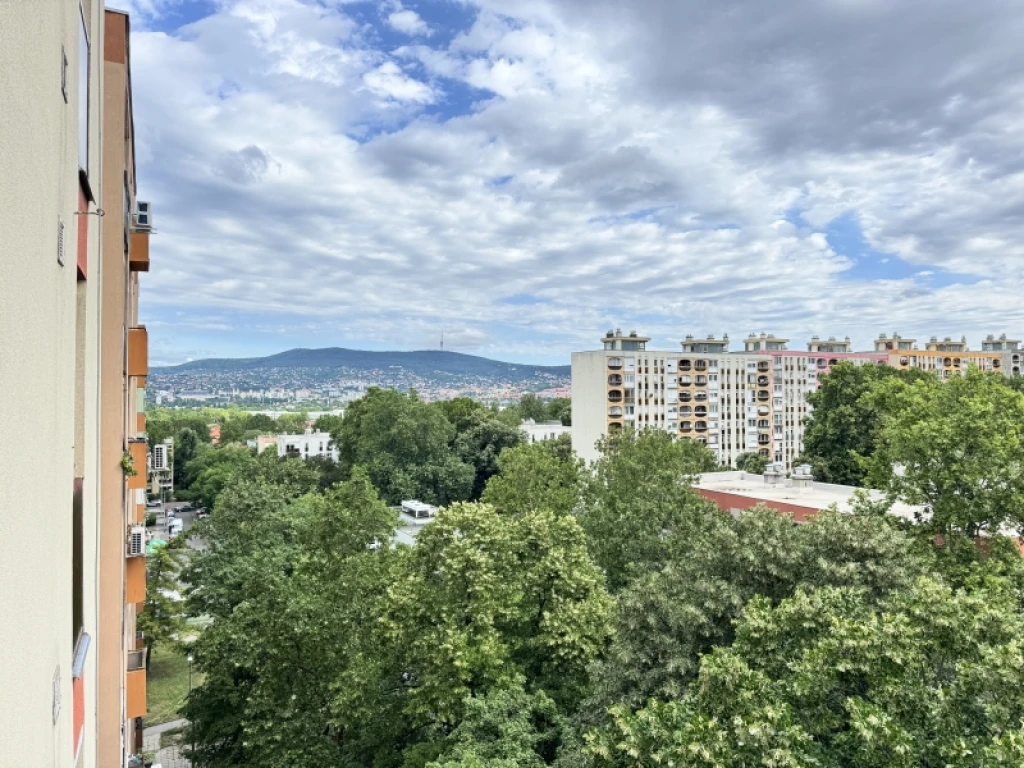 c3-1-name c2-20-name, Pécs, Kertváros
