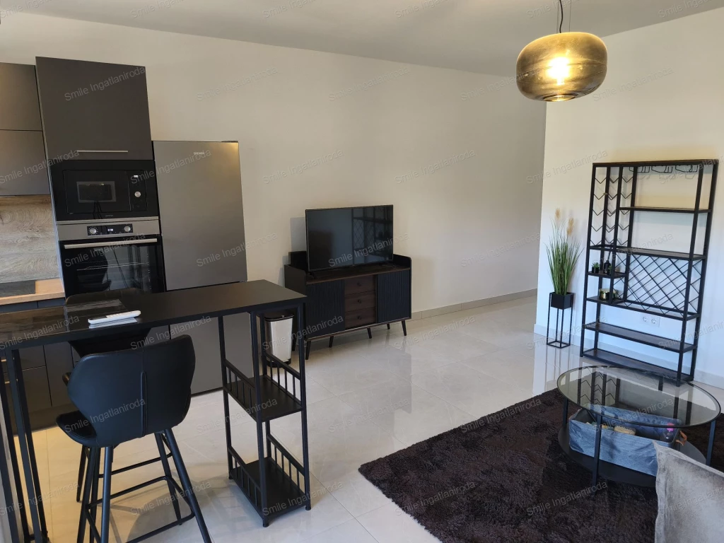 Prémium, exkluzív,modern lakás kiadó a Damjanich lakóparkban