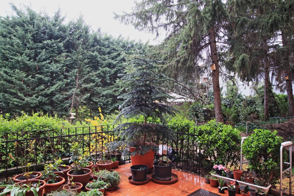 Világos, jó állapotú lakás, csendes kis utca, kertvárosi környezet!