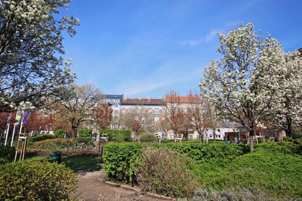 c3-1-name c2-23-name, Budapest VIII. kerület