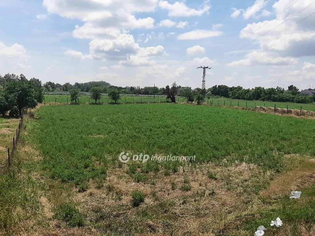 For sale building plot, Gyula