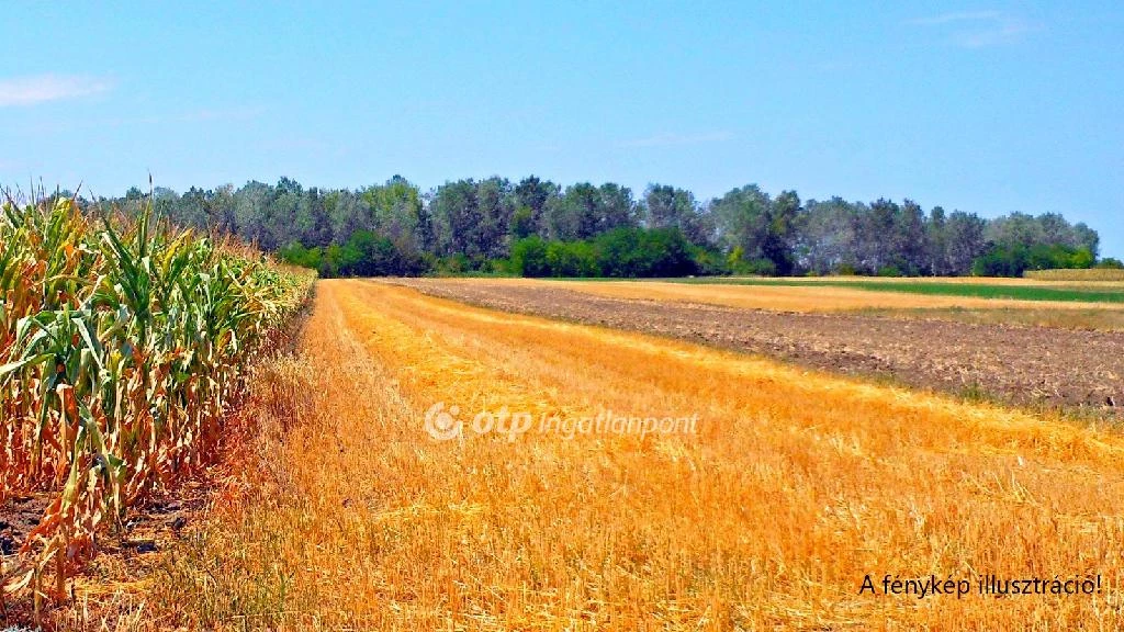 For sale plough-land, pasture, Nagybánhegyes