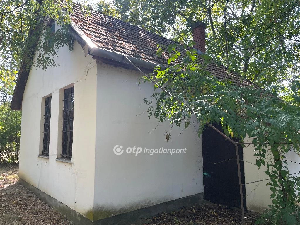 For sale house with a garden, Gyula