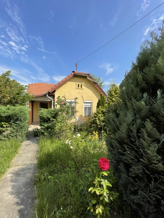 For sale house, Szeged, Szőke Tisza utca