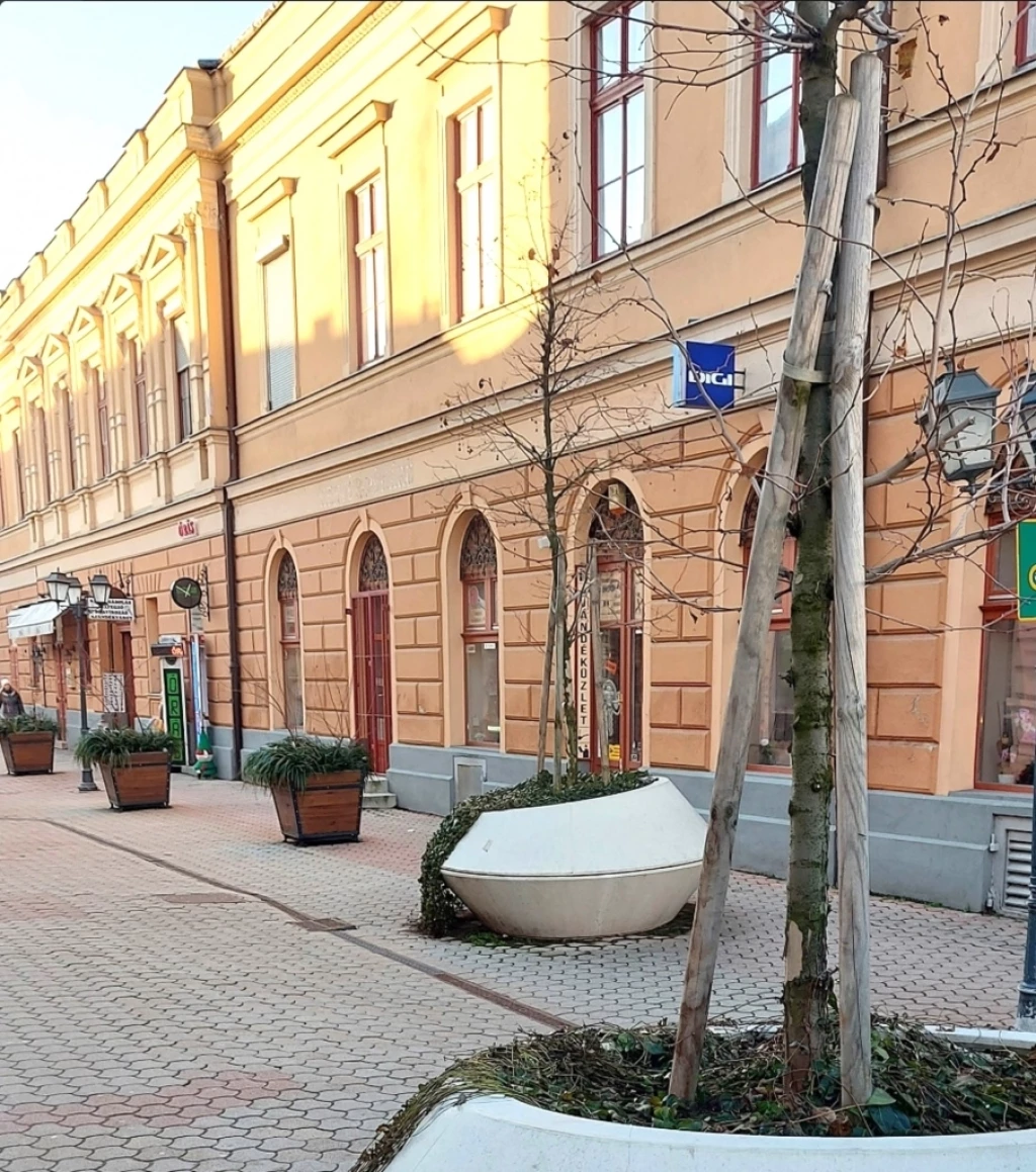 For rent brick flat, Debrecen, Belváros