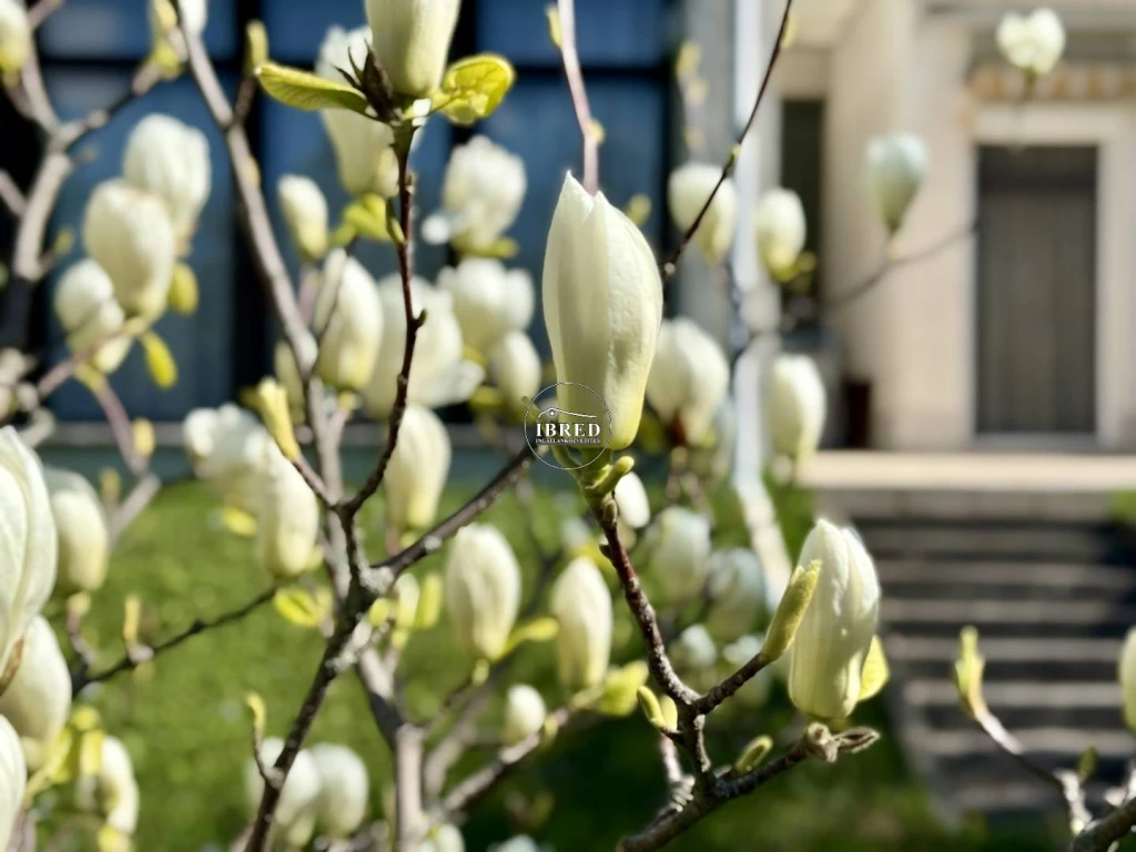 Eladó Építési telek, Budapest XII. kerület, Virányos, 2239nm, 820000000 Ft