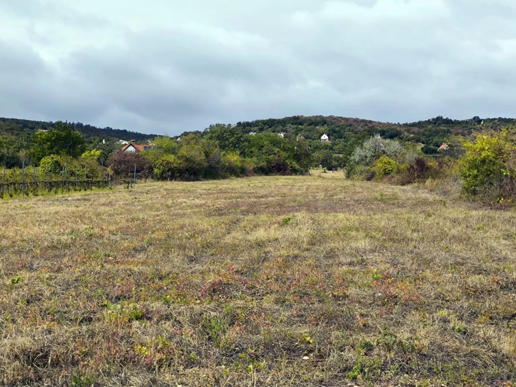 Beépíthető telek Vászolyon Balatoni panorámával eladó